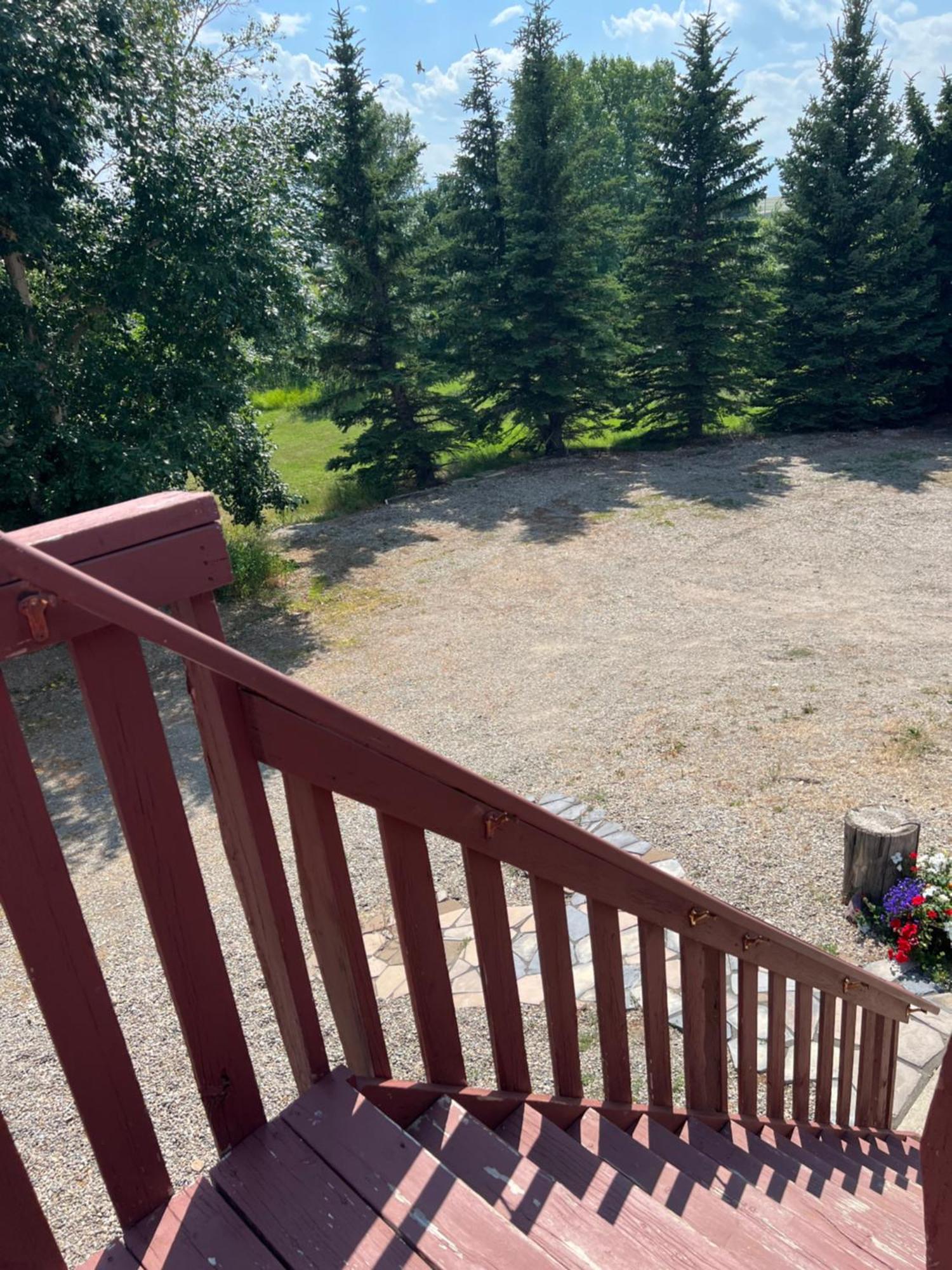 Bear Country Inn And Suites Mountain View Kültér fotó